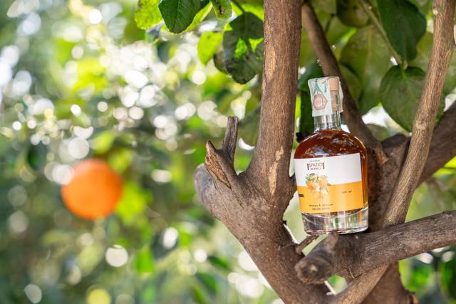Detail_Limoncello con Arancia
