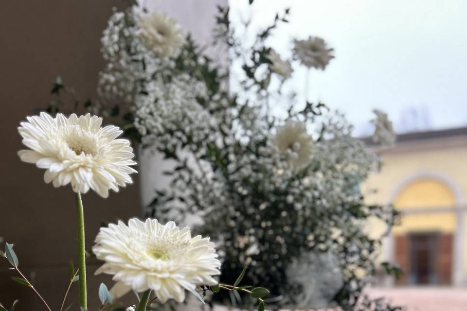Total white
