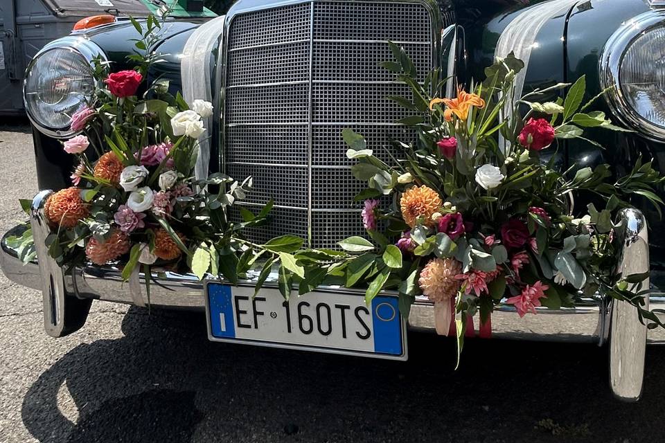 Decorazione auto