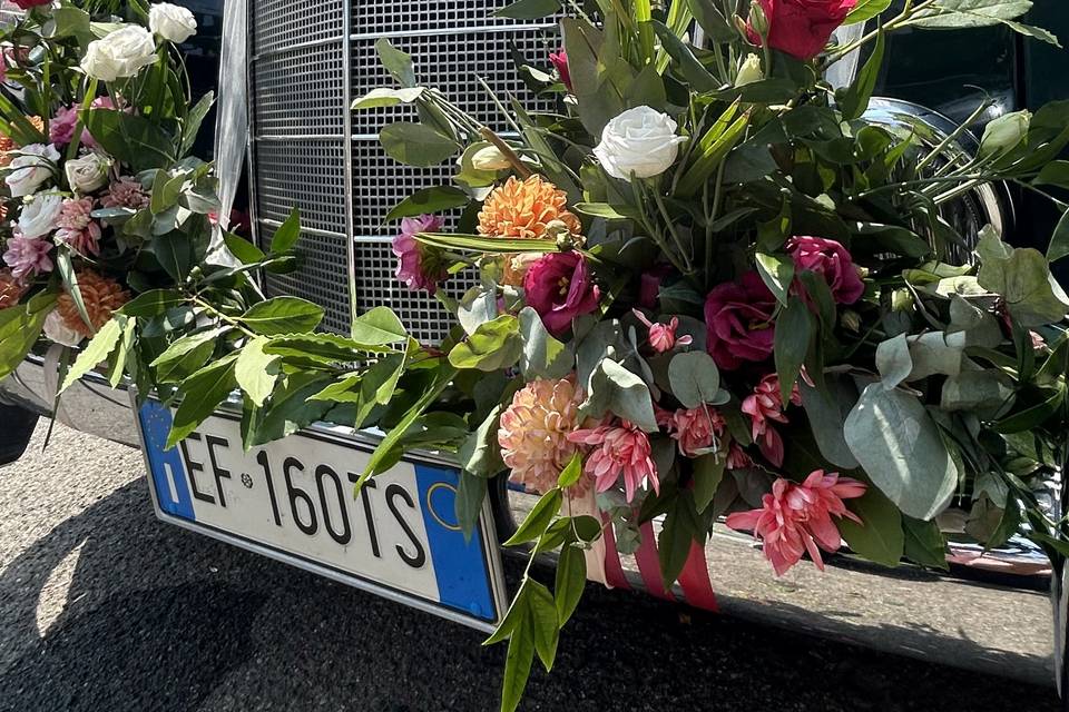Decorazione auto
