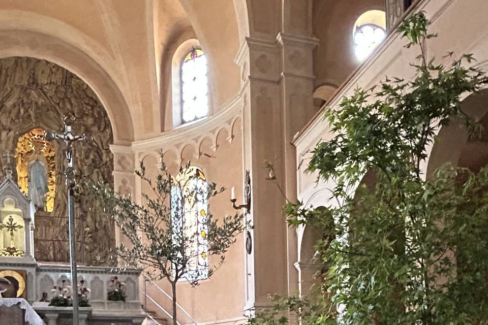 Chiesa con piante verdi
