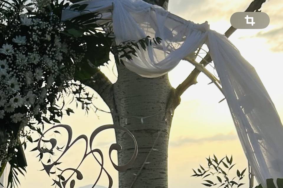 Decorazione torta
