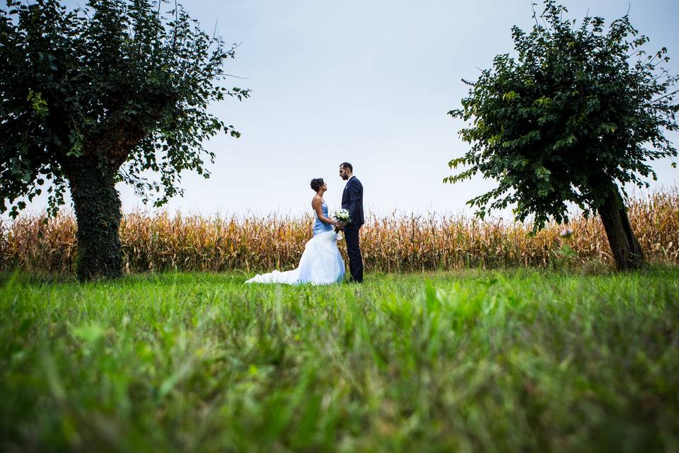 Matrimonio cuneo