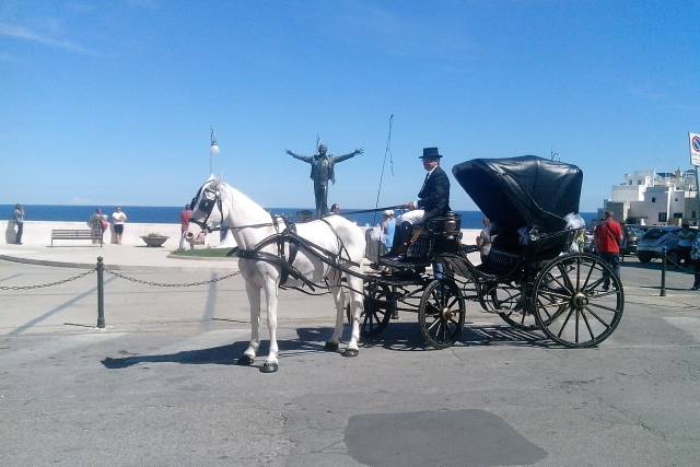 Carrozza vittoria