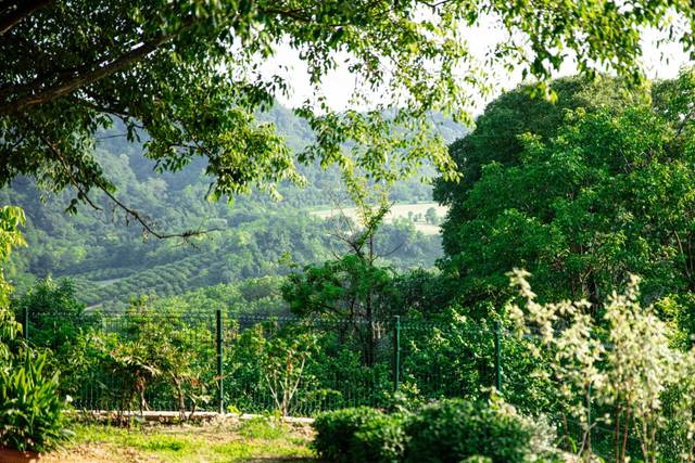 Vista sulle colline
