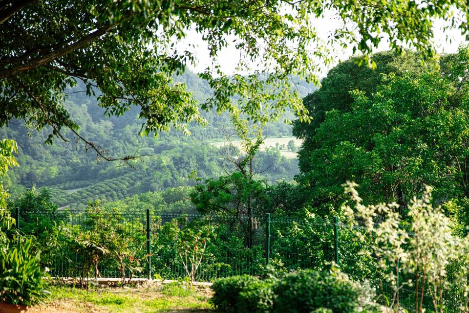 Vista sulle colline