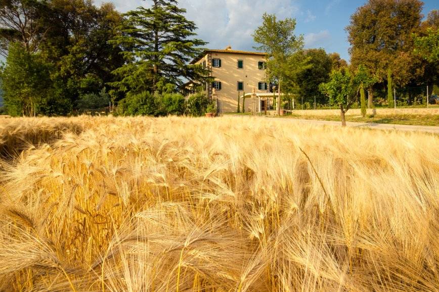 Sala interna - tavolo Sposi