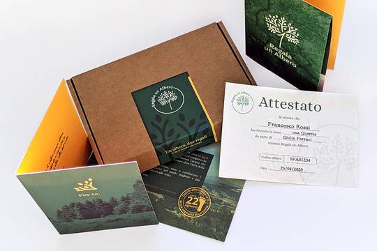 Regala Un Albero box basic