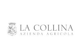 Villa La Collina