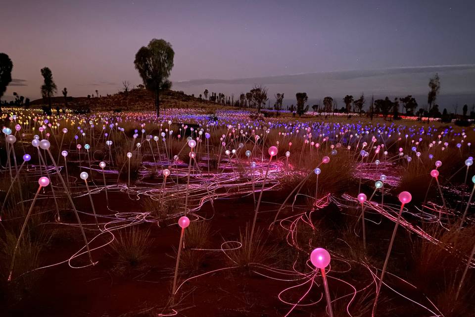 Field of lights- Ayers Rock