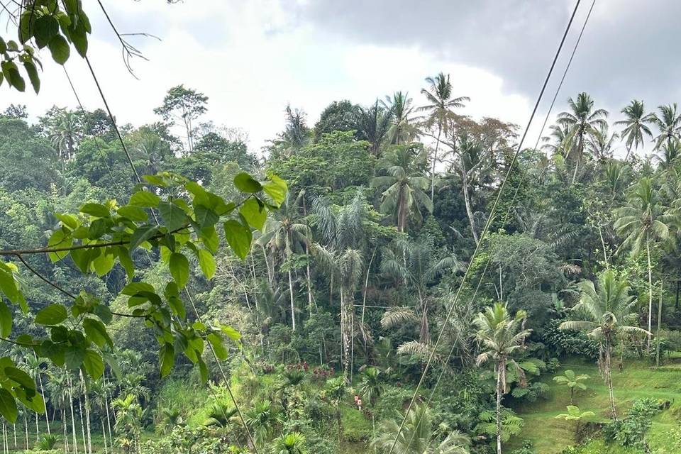 Terra e Cielo Viaggi