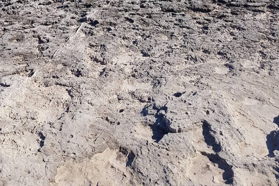 Minorca. Nel profondo blu.