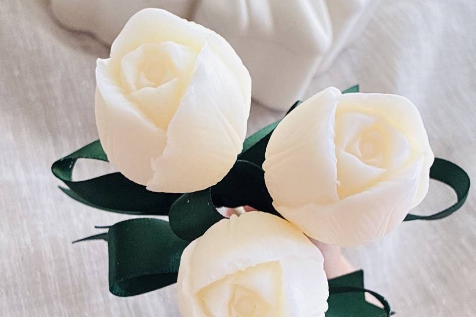 Tulipani