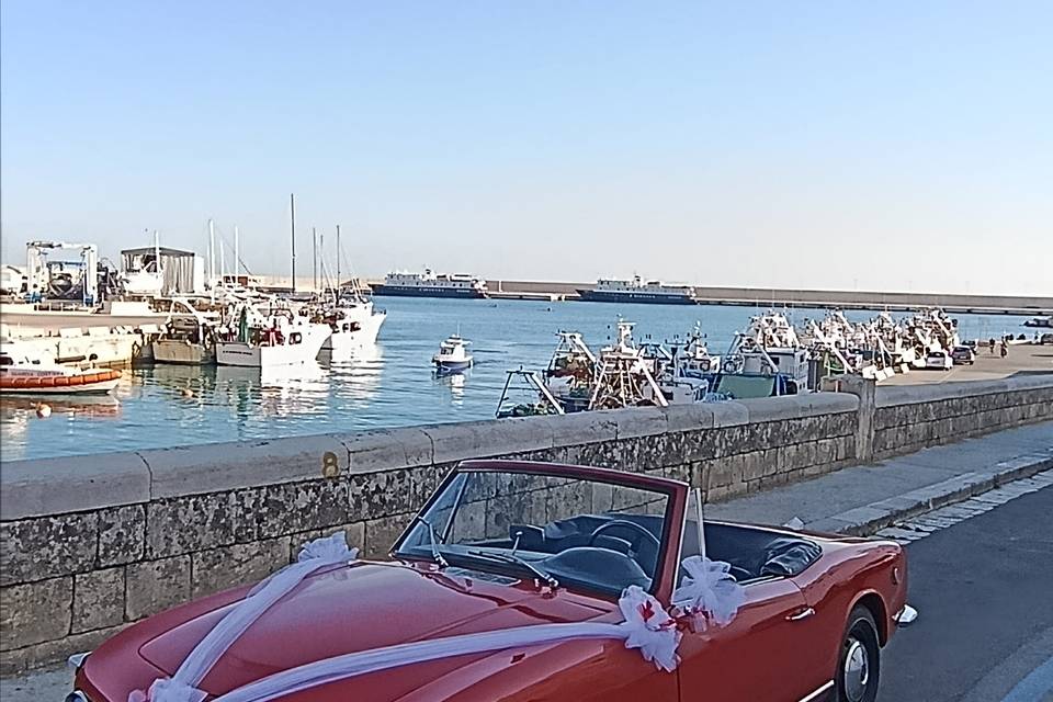 Monopoli