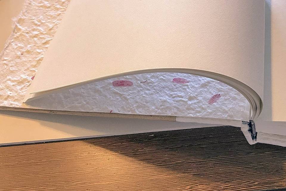 Libro firme - preparazione