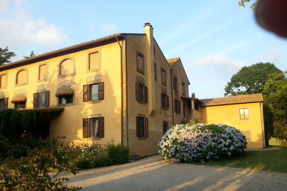 Tenuta di Santa Lucia