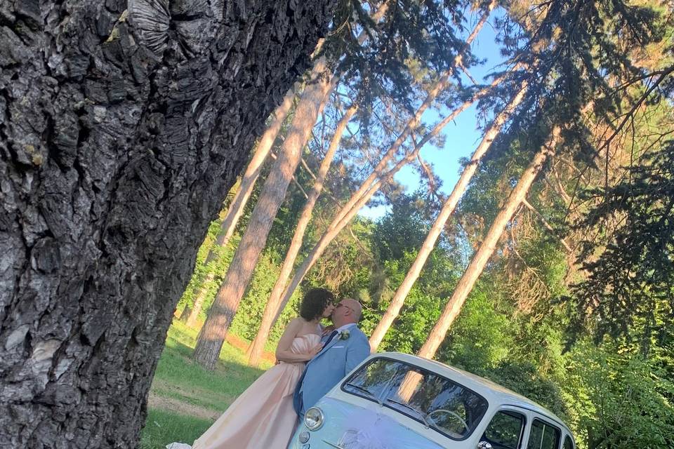 Ricky Rent-Fiat 600 Multipla 9