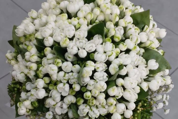 Aurora Flower Designer