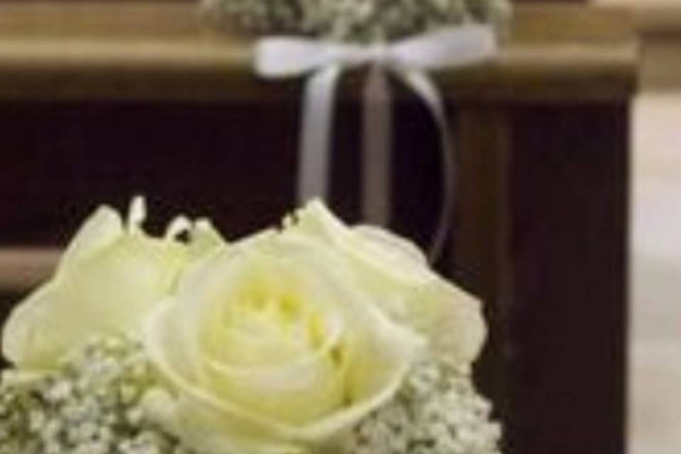 Aurora Flower Designer