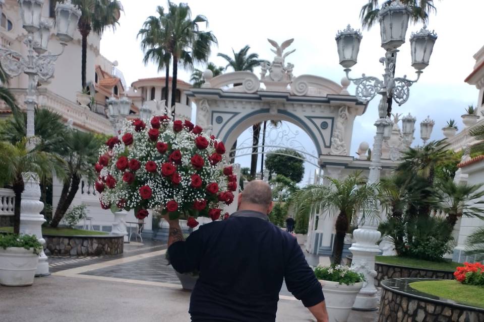 Allestimenti - Aurora Flower Designer