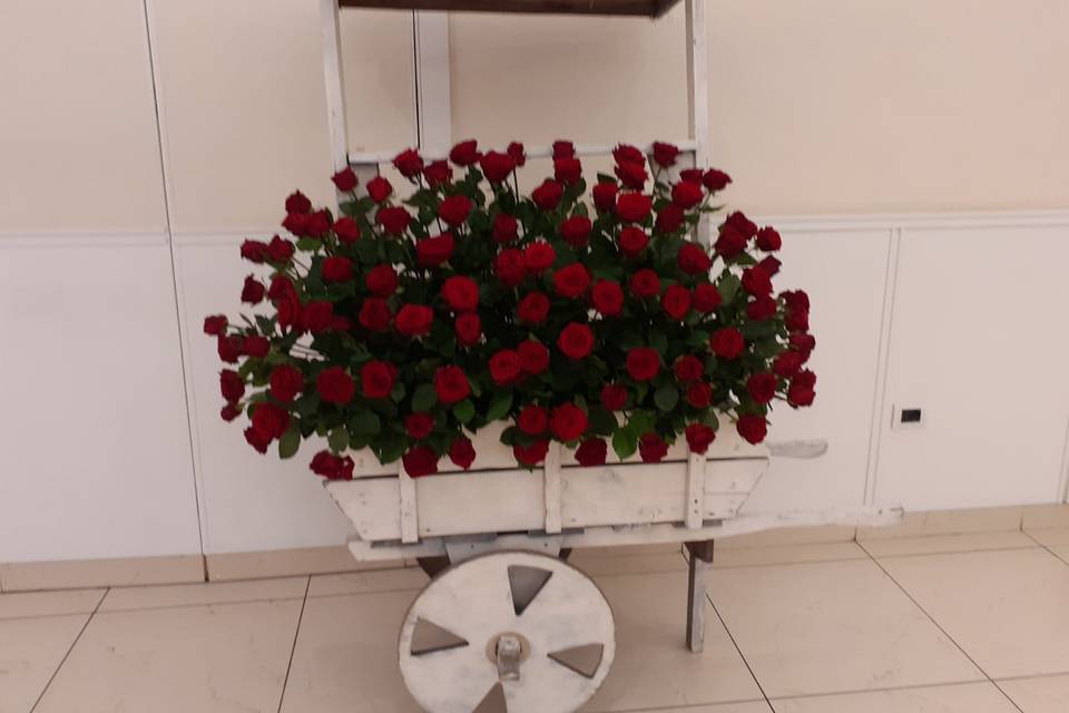 Allestimenti - Aurora Flower Designer