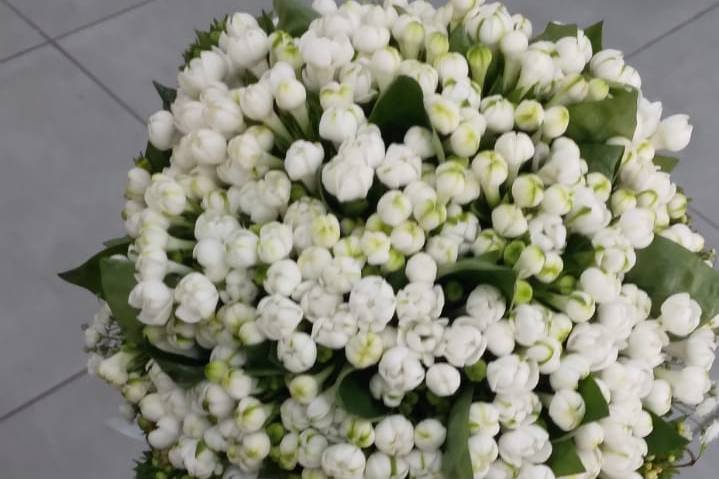 Allestimenti - Aurora Flower Designer