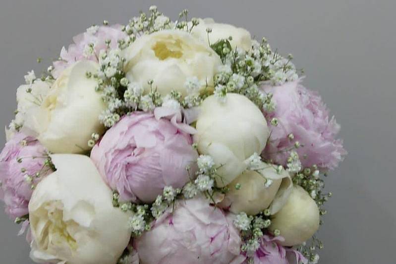 Allestimenti - Aurora Flower Designer