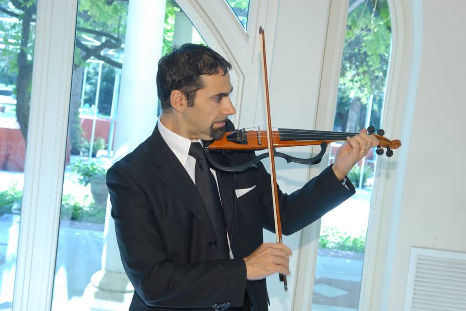 Vito al violino