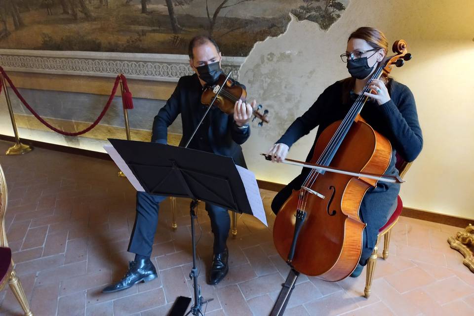 Violino e violoncello