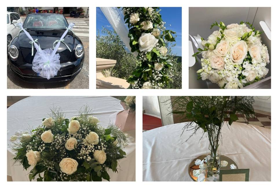 Matrimonio