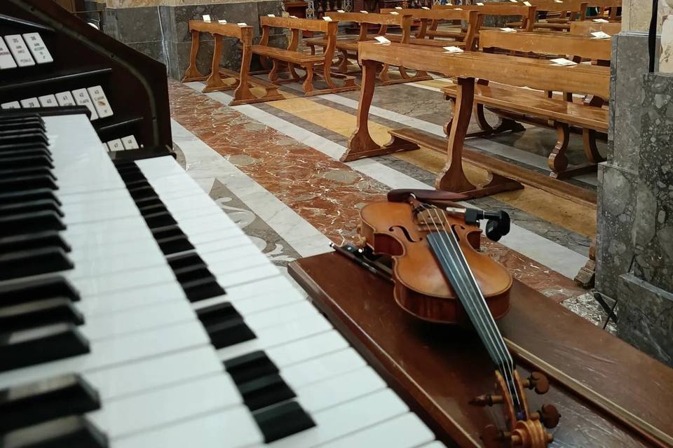 Musica live