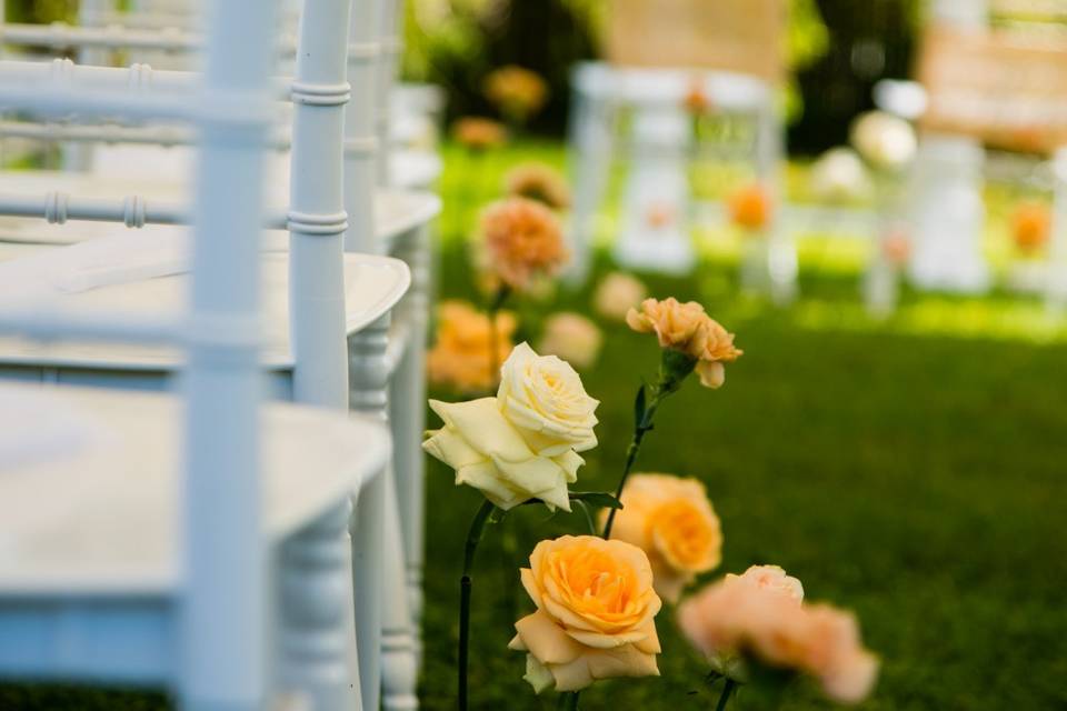 Fiori inseriti a terra