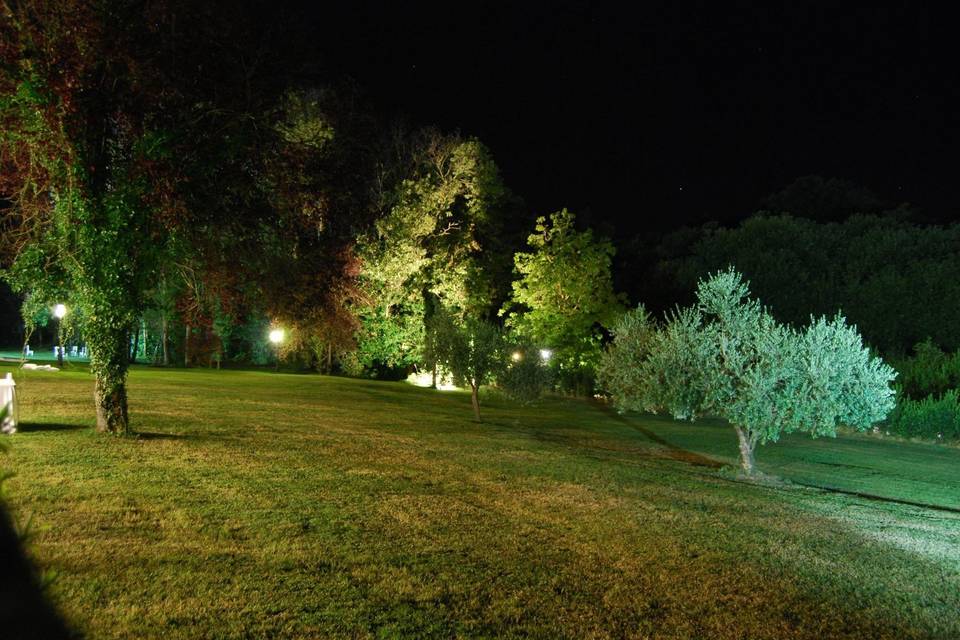 Il parco di notte