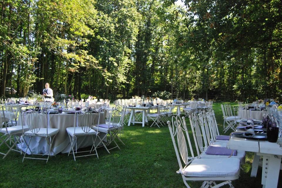 Matrimonio nel bosco