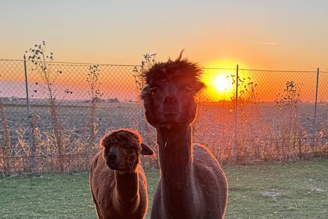 Tenuta dei cria