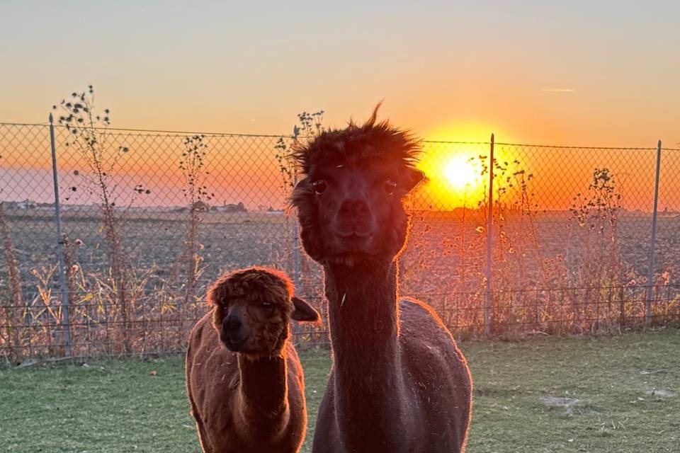 Tenuta dei cria