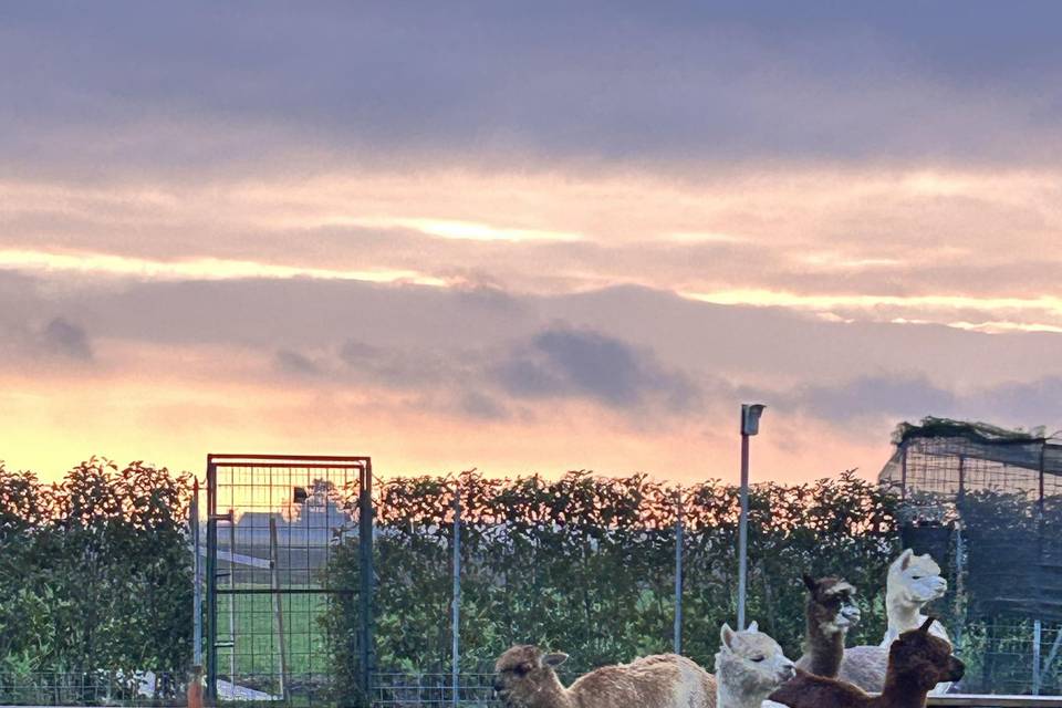 Tenuta dei cria