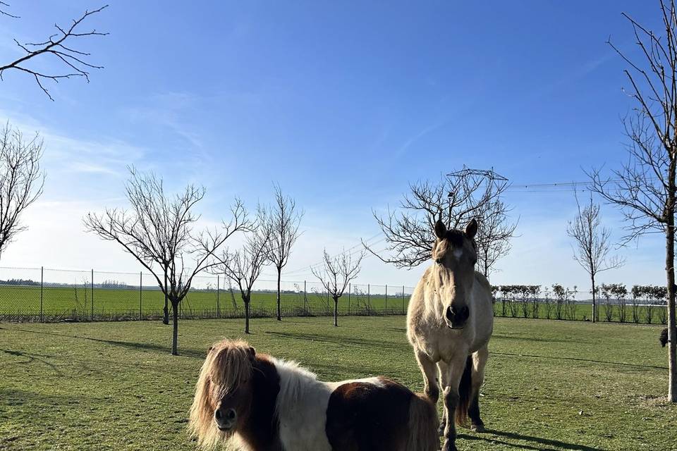 Tenuta dei cria