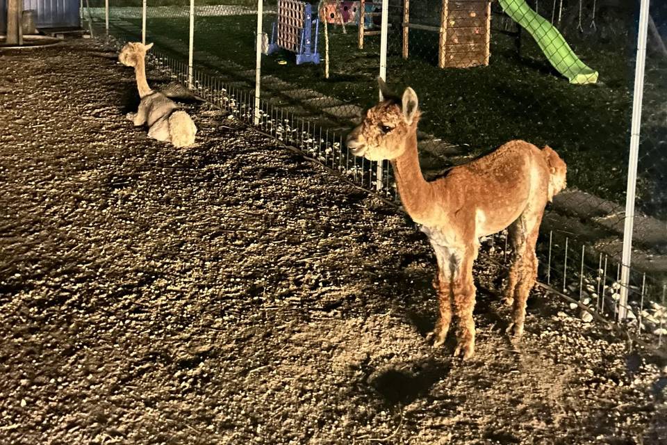 Tenuta dei cria