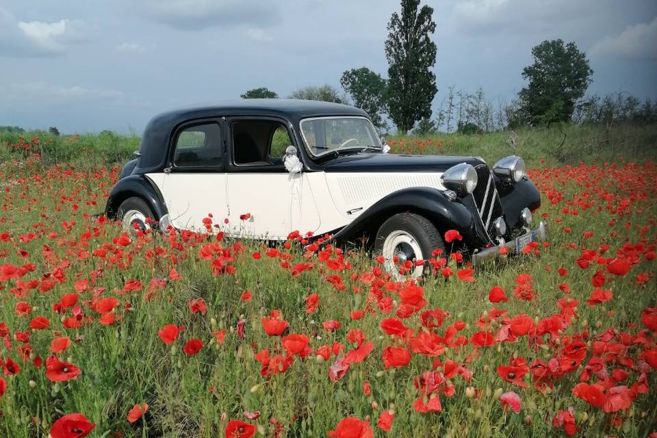 Classic Rental Cars