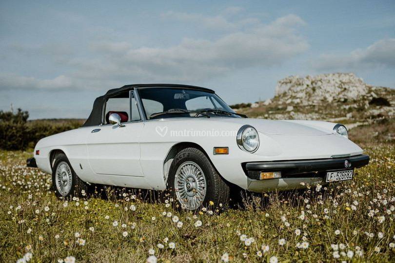 Alfa Romeo Spider