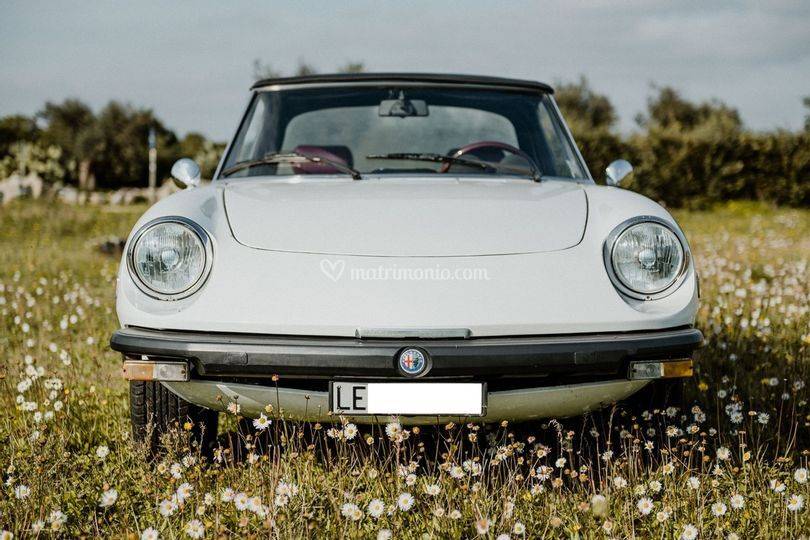 Alfa Romeo Spider