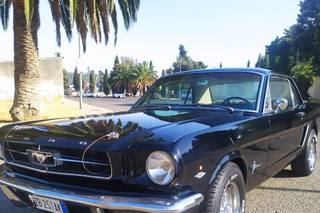 American Muscle Car