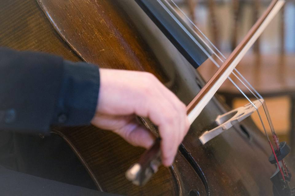 Violoncello