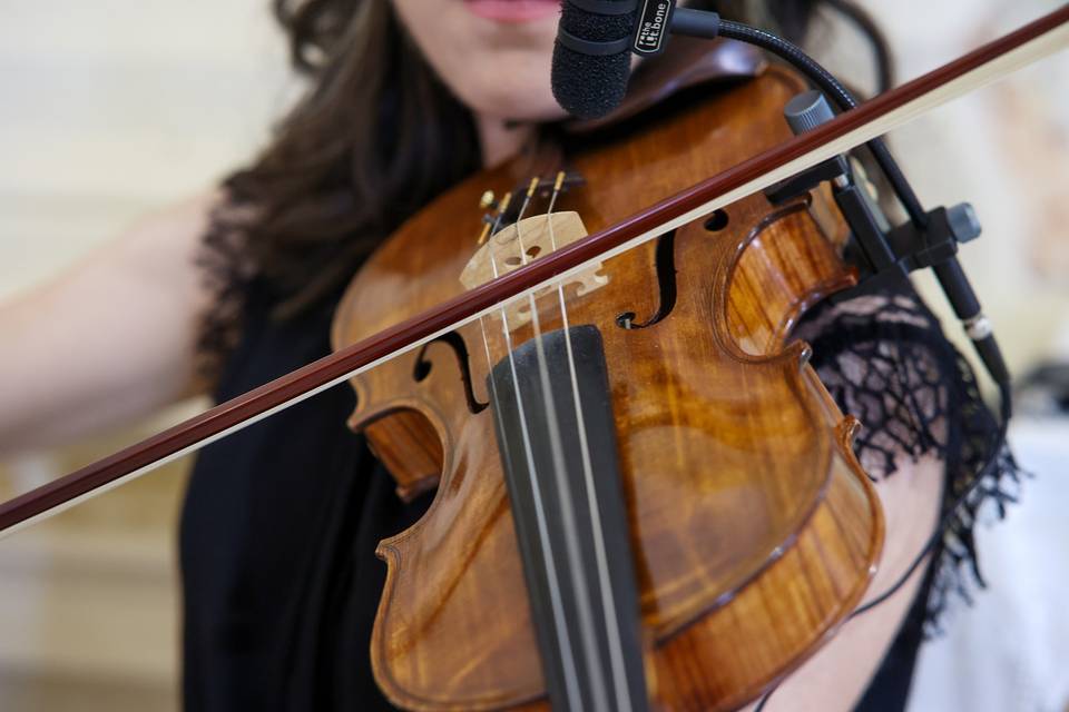 Details Violin