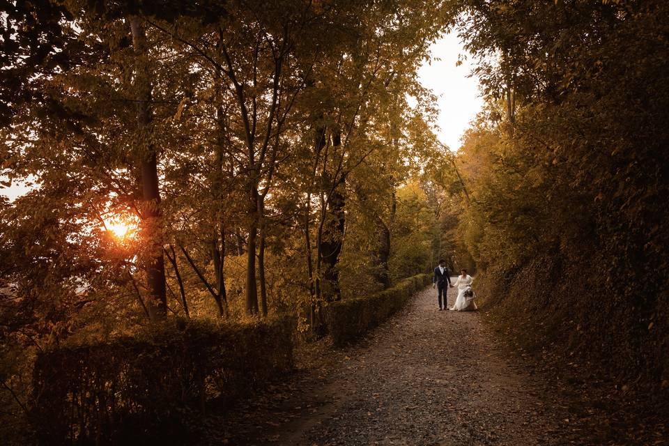 Passeggiata nel bosco