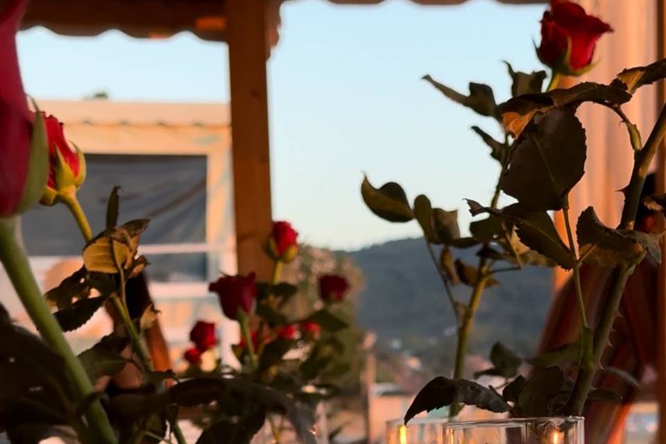 Esempio di allestimento
