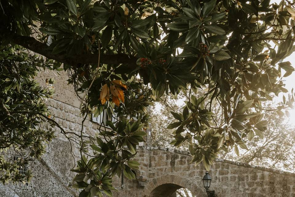 Wedding Party in Rome, Castle