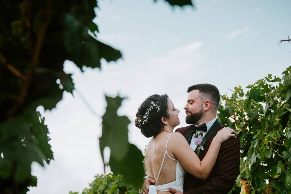 Wedding among the vineyards