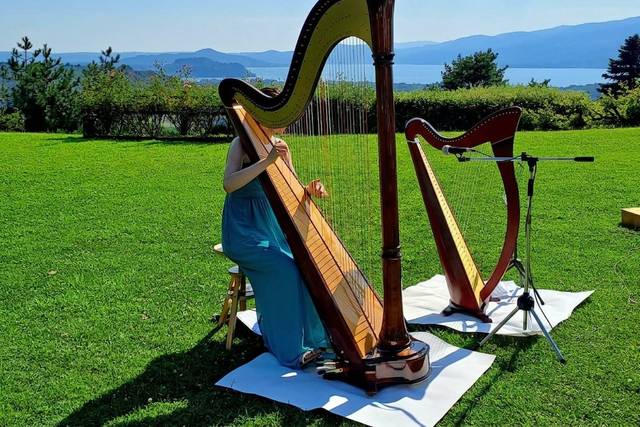 Duo di arpe